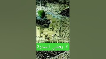 #القرآن_الكريم #quran من سورة النجم.  الشيخ ماهر المعيقلي  @waleed1981.
