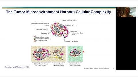 ICRN Webinar: Immune Landscape of Cholangiocarcinoma