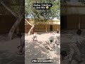 Very Interesting And Funny School STUDENTS Activity😅 #funny #viral #youtube #shorts #schoolactivity