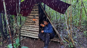 2 Hari Solo Camping, Angin Kencang dan Hujan Deras, Survival Shelter Kayu Segitiga