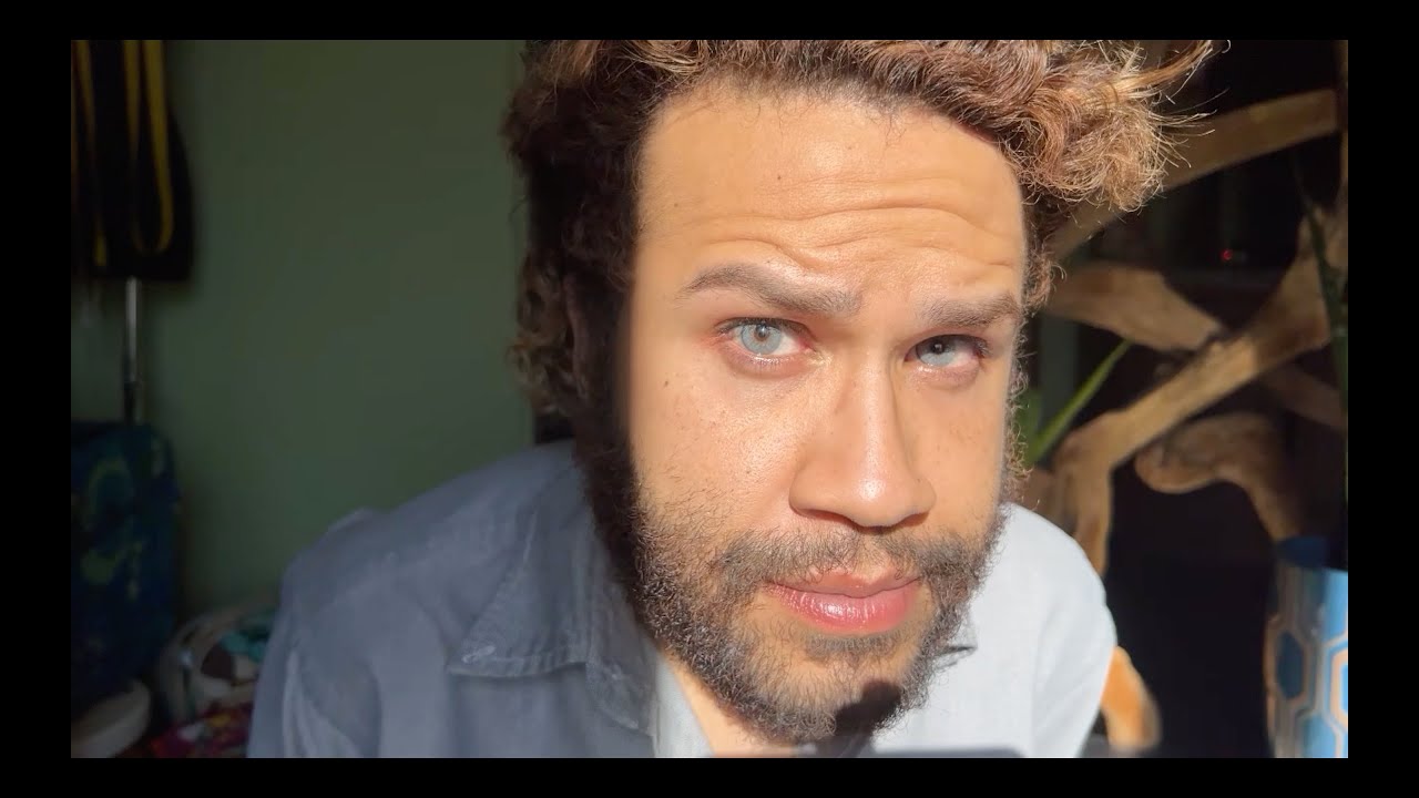 Solotica Alegria Grey / Gray (2025 version)