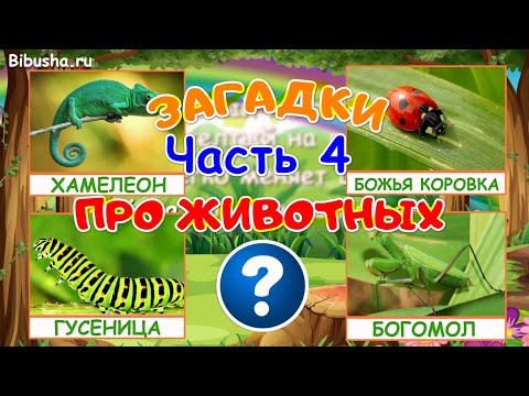 Загадки Про Животных - Часть 4 | Загадки Для Детей