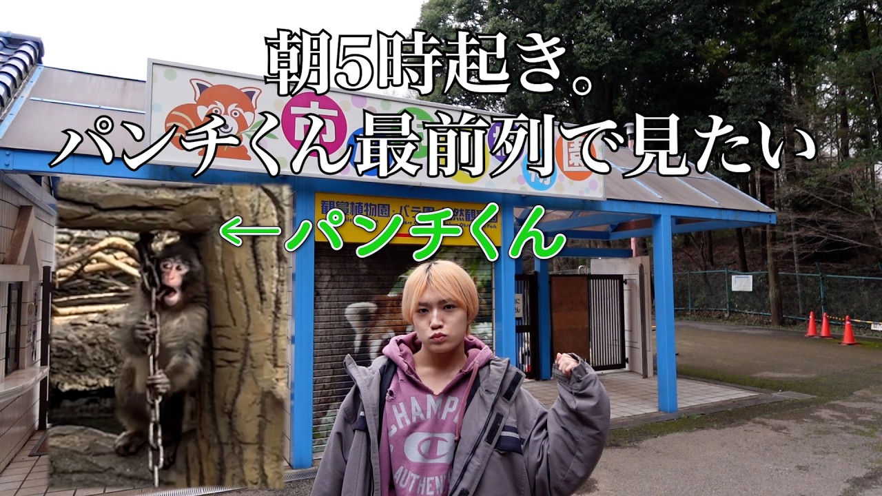 パンチくんが見てーんだよおおおおっ！