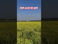 सरसों की खेती | Mustard (Brassica Juncea) | Major Oil Seed Crop of India #farming