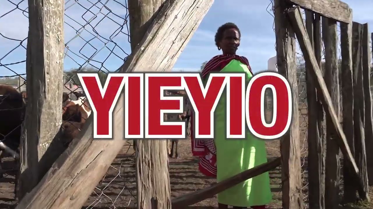 Yieyio: Maasai Women Navigating Motherhood in a Changing World Book Trailer