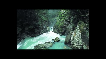 سورة القصص _ كاملة_ بصوت جميل