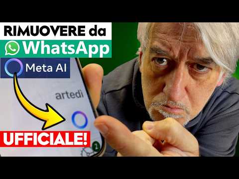Video ?RIMUOVERE da WhatsApp META AI? Ecco la RISPOSTA UFFICIALE di Meta