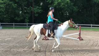 Cantering Barrels