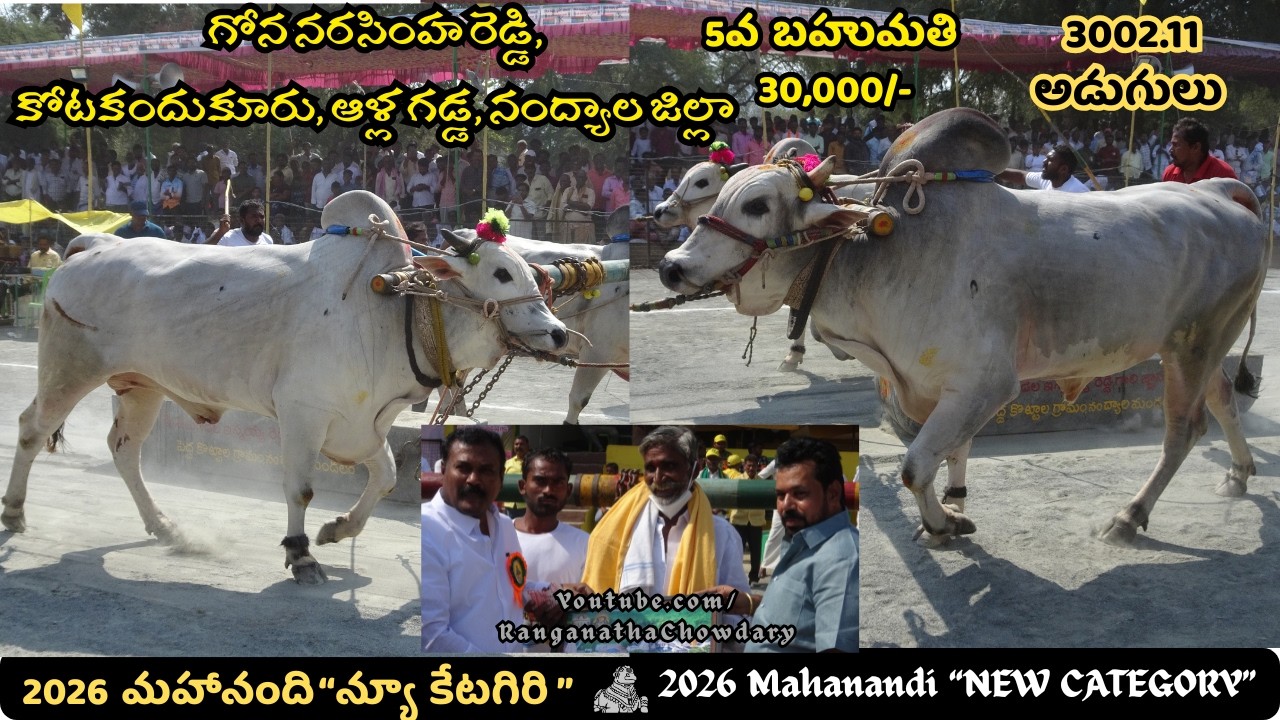2026 #mahanandi NewCategory #ongolebullsshow 5th Prize Rs.30,000/- Won By GONA NARASIMHA REDDY