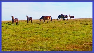 Search for the Source of the River Exe - Exe Head Exmoor