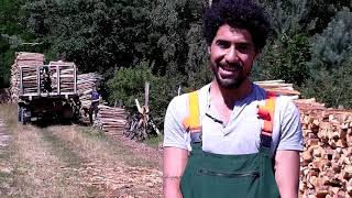 Detalles Bauckhof BFD Interview Danilo ENG Noticias
