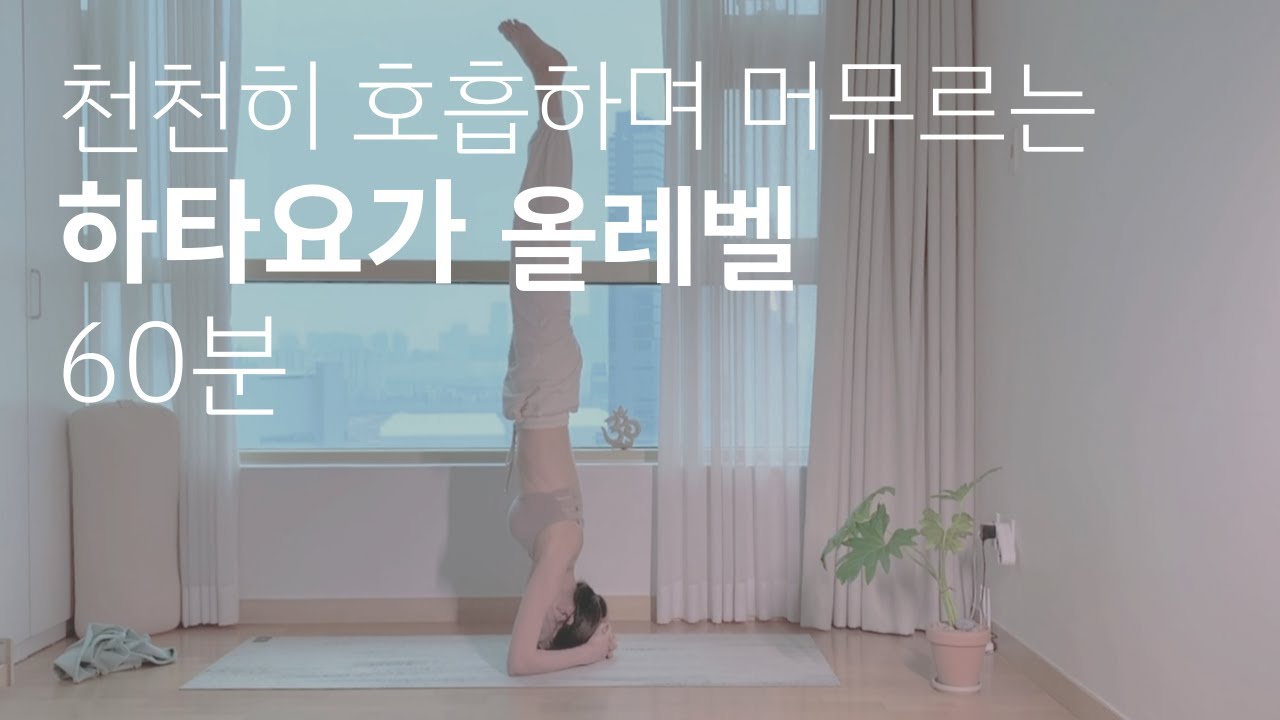 하타요가 60분 | All level | 천천히 호흡하며 머무르기 | 하타요가 베이직 | 깊은 호흡