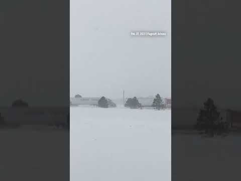 Video: Ninge în piatra funerară az?