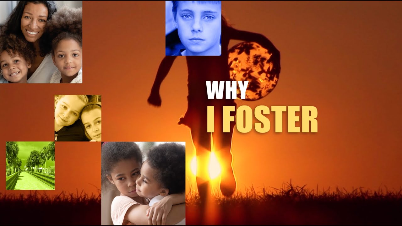 Why I Foster - YouTube