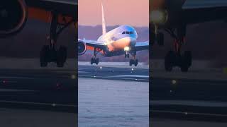What happens if crime in auroplane? #shorts