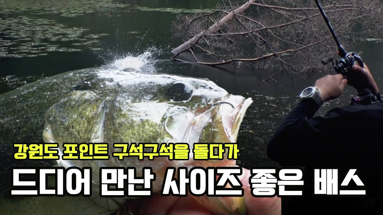 От знаменитых полей Канвондо до скрытых, нетронутых полей [Chaser the Point Man, эпизод 8]