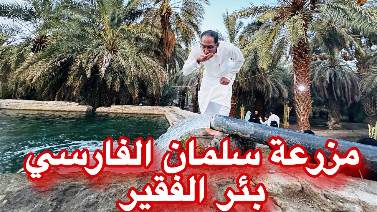 هنا زرع رسول الله بيده بستان من النخل مزرعة وبستان سلمان الفارسي وبئر الفقير قصة عجيبة من المدينة