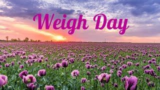 Weigh Day - Week 281 - Chit Chat - 13th of June 2023