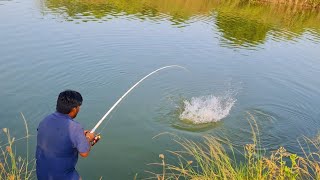 Fish Hunting|Fisherman Big Rohu Fishes Catching|in Village Water Canal