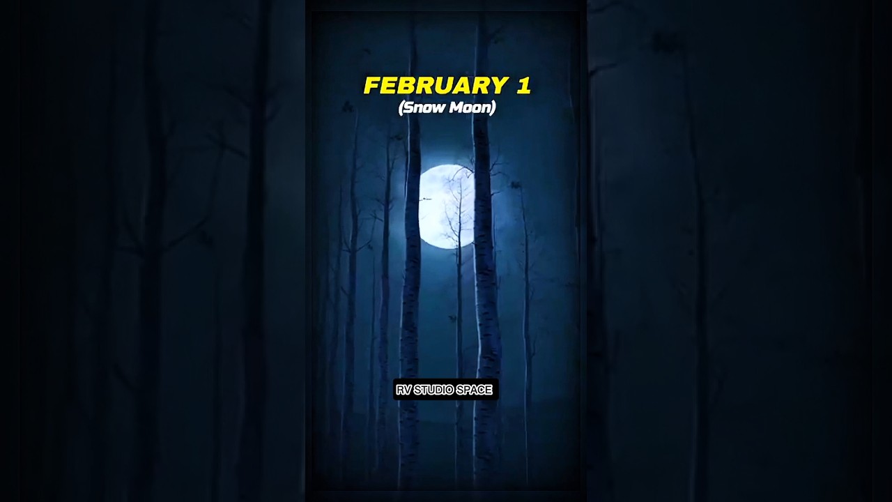 Epic Astronomical Events February 2026 💀🥳 