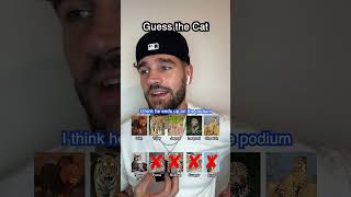 Bread Basket Guessing Game ⁉️ Cats 🐱