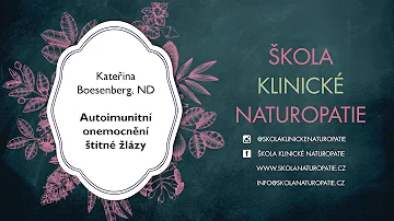 Kdo je parťák štítné žlázy?