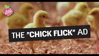 Chick Flick