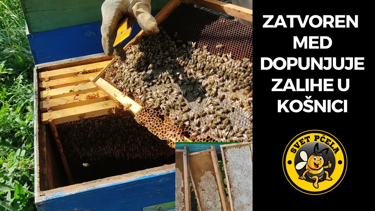 Dodavanje meda u košnici. Pčelarstvo 2023 - YouTube