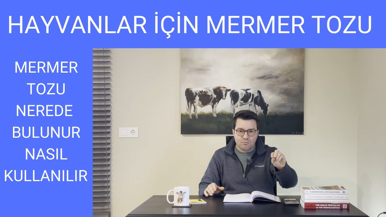 Hayvanlar İçin Mermer Tozu: Nasıl Kullanılır, Ne Kadar Gerekli?