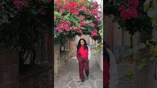 The Living Painting #collioure #france #travel #ytshorts #viral