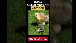 Top 13 Best Animal Moments in Pro Golf | Part 2