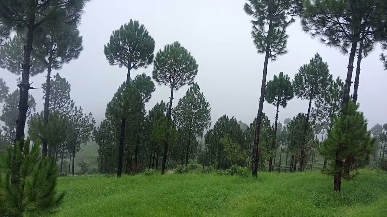Balakot Beauty... Awesome Lush green