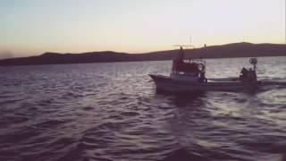 Mert reis