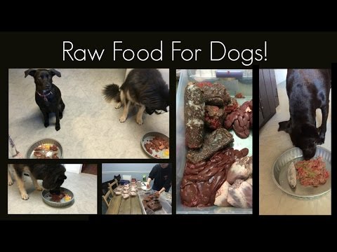 raw-food-for-dogs!-basics-and-how-to-get-started!