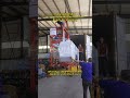 Produce and export horizontal bandsaw machine, customize sawmill machine #bandsaw
