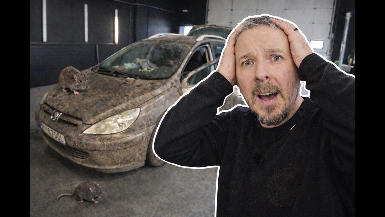 Odszczurzanie Peugeota 307. Nie taki diabeł straszny jak go malują? jak było w tym przypadku?