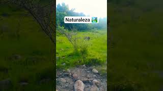 La tranquilidad de estar en un lugar natural ⛰️ #Jalisco