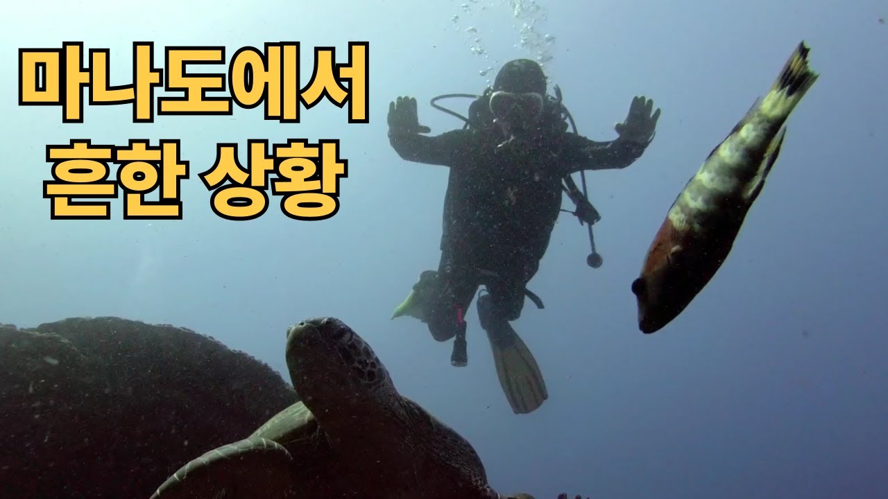 2025년11월16일 마나도투아, 부나켄 스쿠버 다이빙 실제 영상