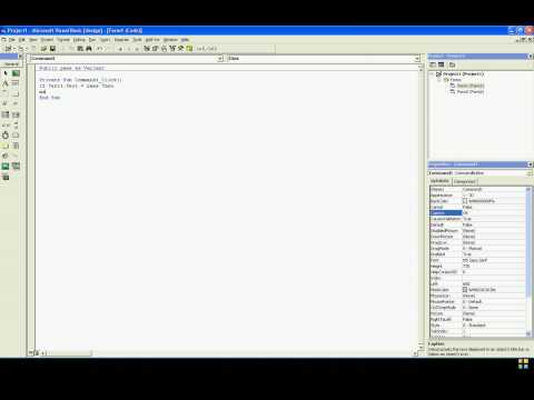 VB6 Password Protected Form ( Tutorial )