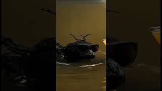 Venomkin is alive ?  #panama #alien #venomkin #meteorite #k25