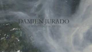 Damien Jurado - Predictive Living