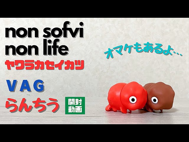 ヤワラカセイカツ VAG らんちう 開封動画 〜知久寿焼さん