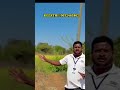 Canal Road BIT | Both Side Road BIT | 10-32 Guntas Agriculture land for sale | #agriculture #youtube