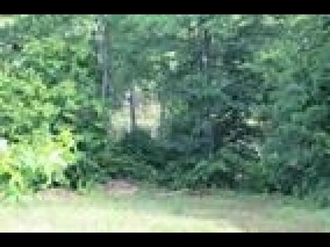 384 Island Green Road, Inman, SC home video tour