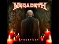 Megadeth - 13