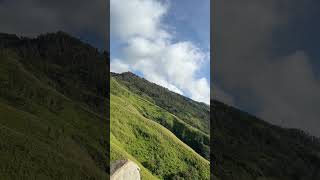 Merbabunya Jawa Timur niiiihh #greenscreen #gunung #news