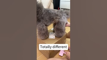 How Negative Ions work