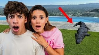 The Royalty Family! we Found an ALLIGATOR in our Backyard