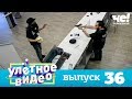 Улетное видео | Выпуск 36