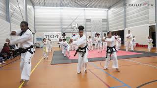 Helden eren: Taekwondo Kkamagwi die op het EK in Madrid medailles veroverden